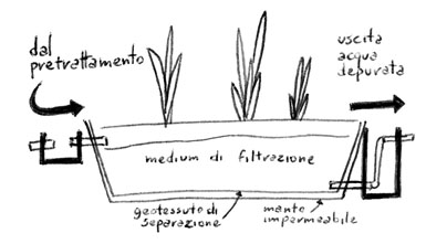 Sezione schematica bacino di fitodepurazione